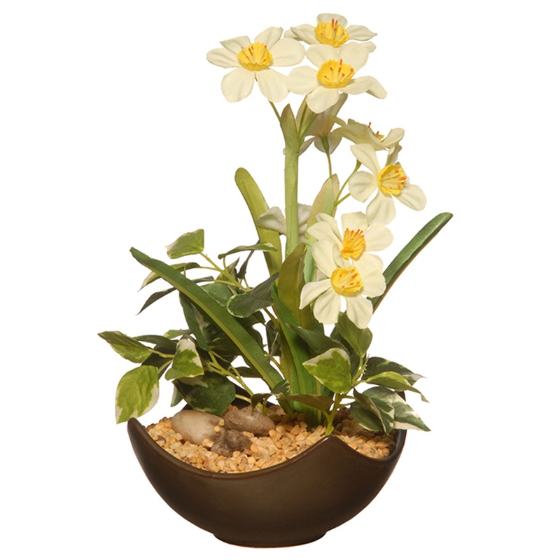 9 i. Spring Narcissus Flower Blooms Potted Plant in a Stylish Brown Ceramic Pot