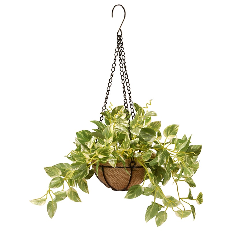 9 in. Spring Hanging Pothos Plant Pot Decoration with Leafy Greens
