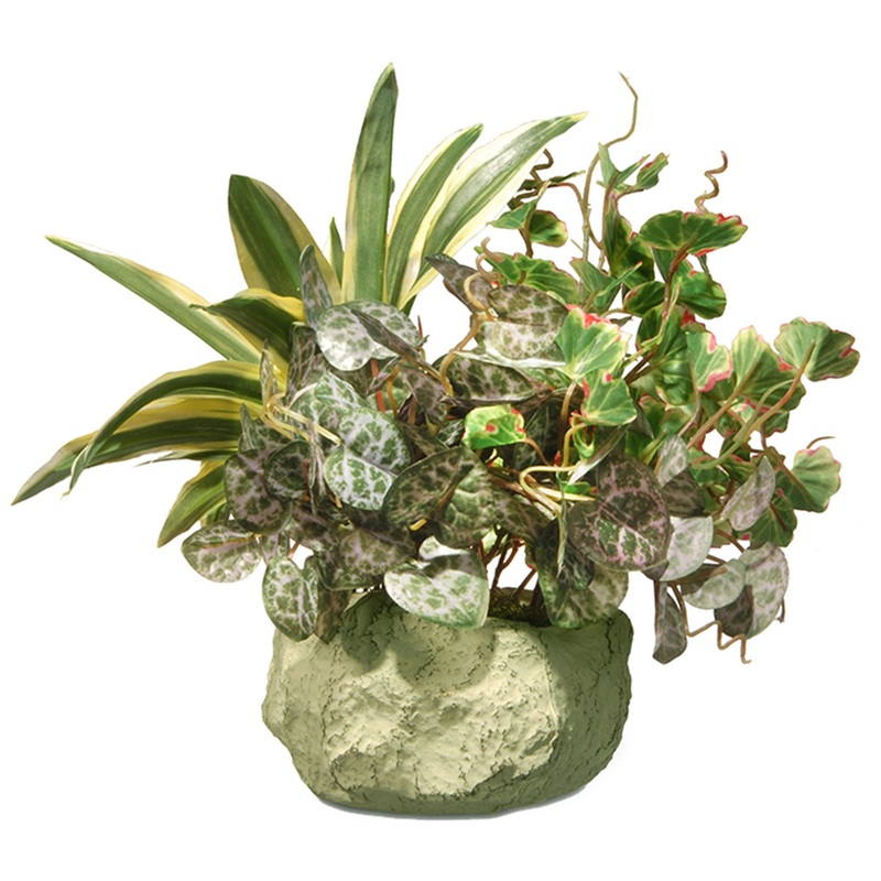 9 in. Spring Ivy and Snake Plant in a Rock Ceramic Pot