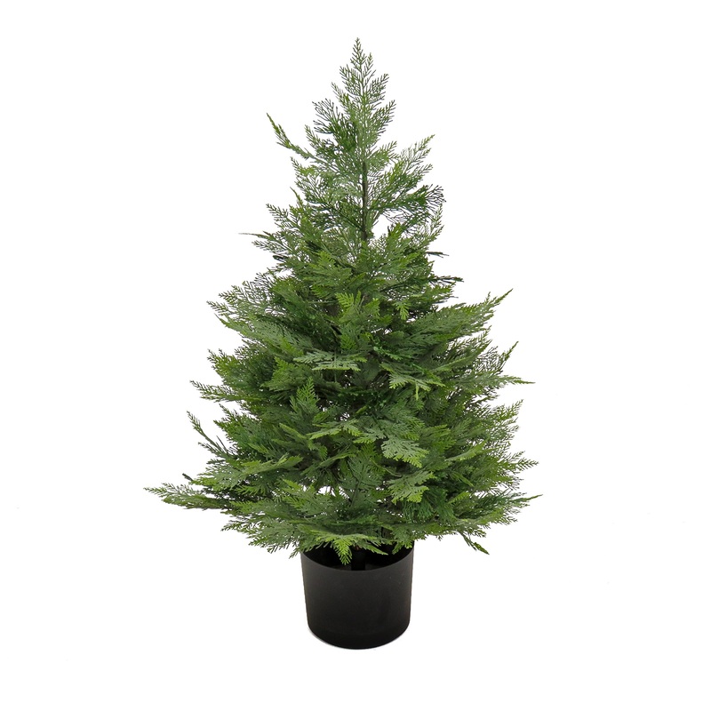 3 ft. Cypress Topiary Tree in in Black Plastic Nursery Pot