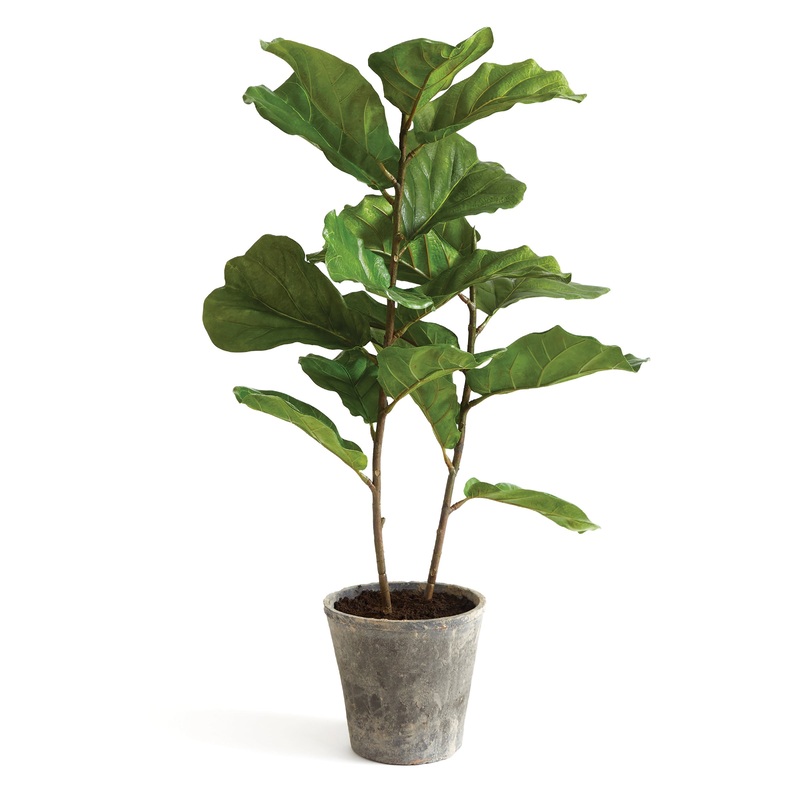 43 in. Fiddle Leaf Fig Topiary Tree