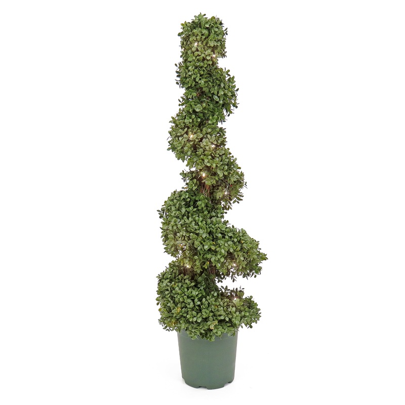 44 in. Pre-Lit Boxwood Spiral Topiary with LED Lights