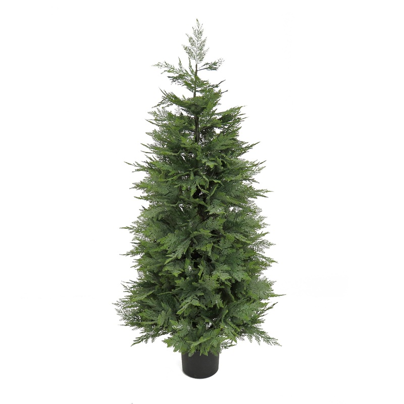 5 ft. Cypress Topiary Tree in in Black Plastic Nursery Pot
