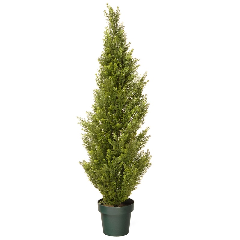 48 in. Arborvitae Topiary Tree in Dark Green Round Growers Pot