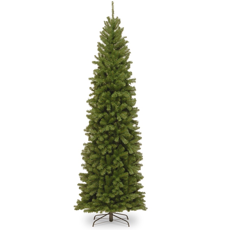 10 ft. North Valley Spruce Pencil Slim Tree