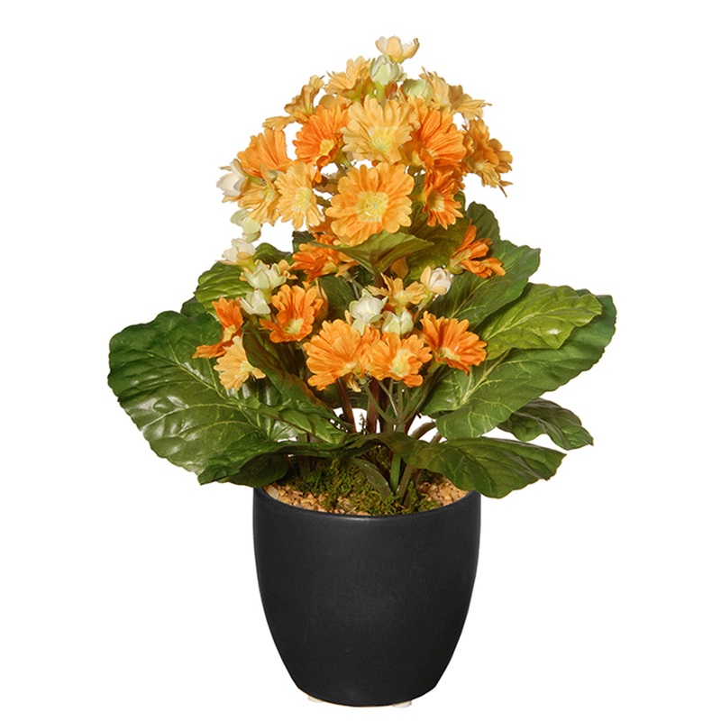 12 in. Spring Orange Flower Blooms Potted Plant in Black Ceramic Pot