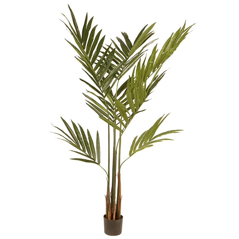 4 ft. Spring Kentia Palm Potted Tree with Leaves, Simulated Soil in a Black Pot