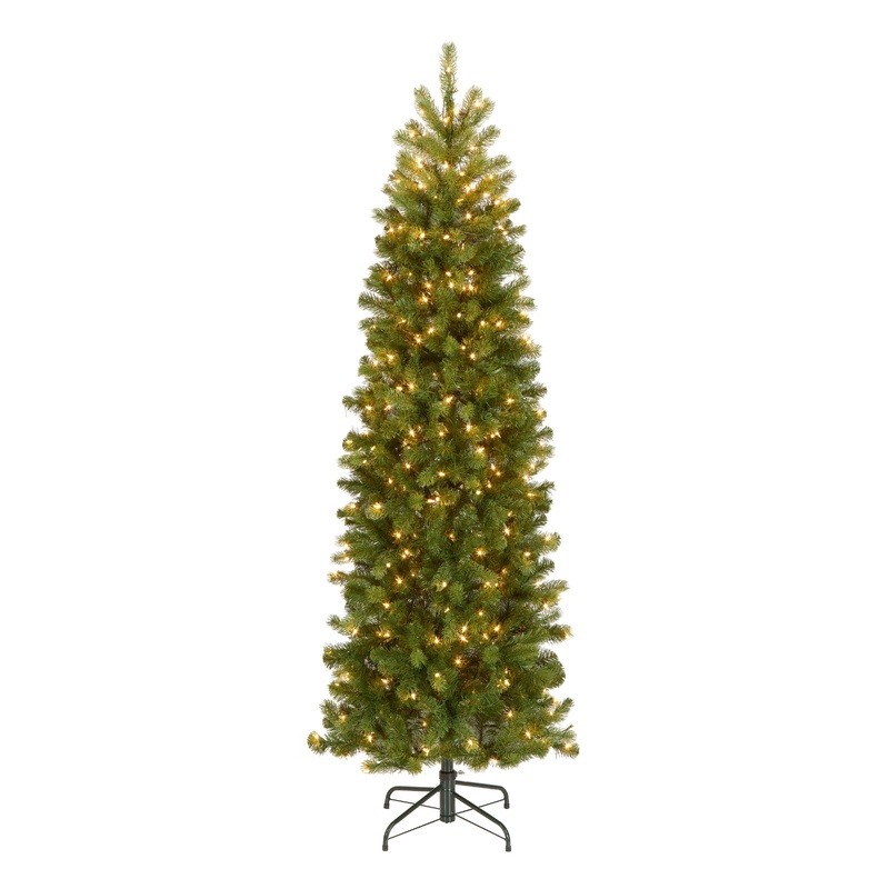 Downswept Douglas Pencil Slim Fir Trees