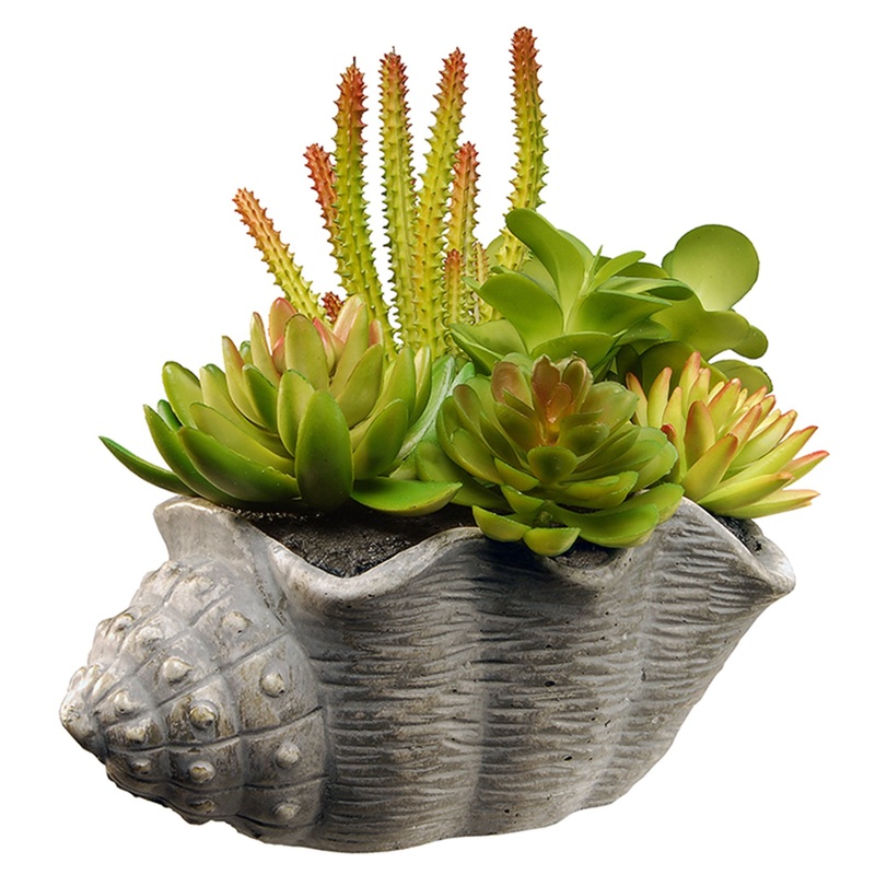 11 in. Spring Potted Plant with Various Green and Orange Succulents in a Stylish Conch Shell Cement Pot
