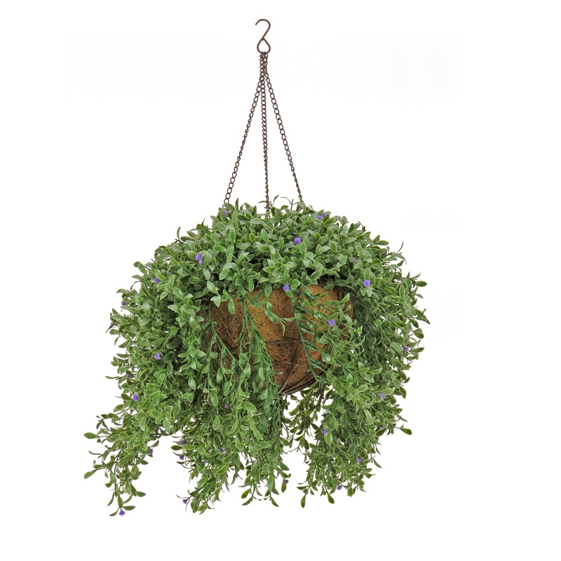 18 in. Spring Argentea Hanging Plant with Purple Flowers