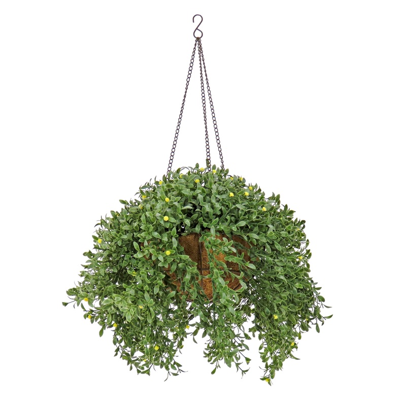 18 in. Spring Argentea Hanging Plant with Yellow Flowers