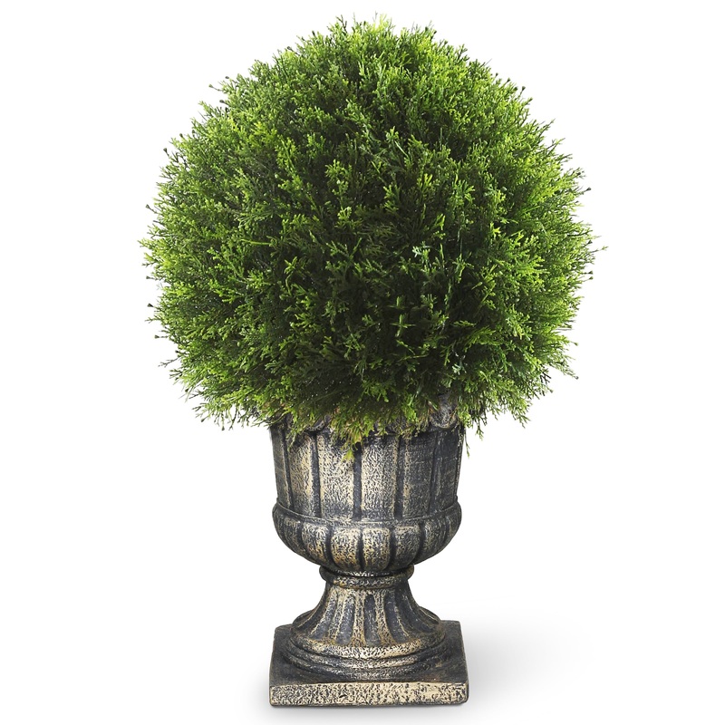 27 in. Upright Juniper Ball Topiary