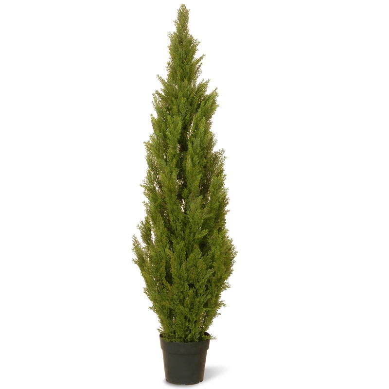 65 in. Cedar Topiary Tree in Dark Green Round Growers Pot