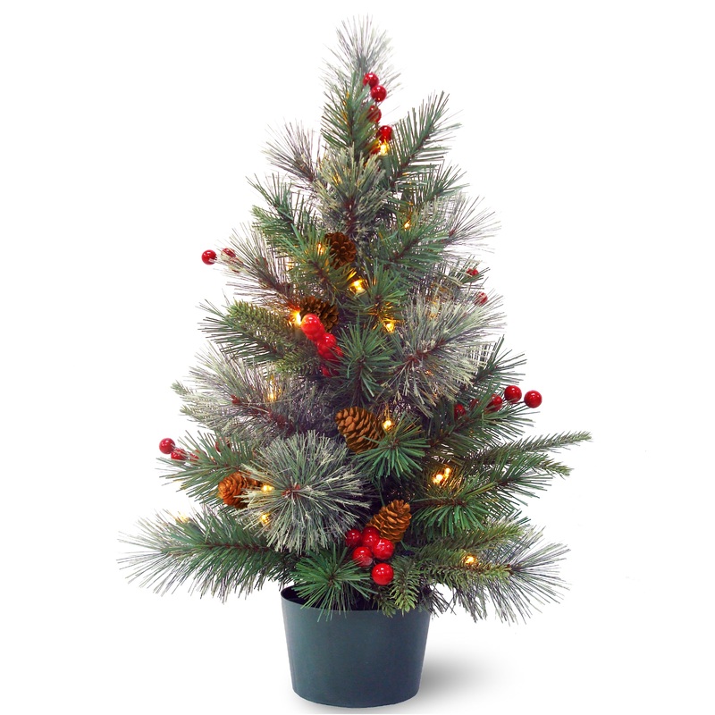 2 ft. Pre-Lit Colonial Fir Tree with Warm White LED Lights