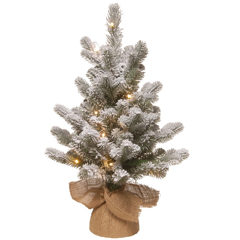 2 ft. Pre-Lit Snowy Sheffield Spruce Tree with White LED Lights