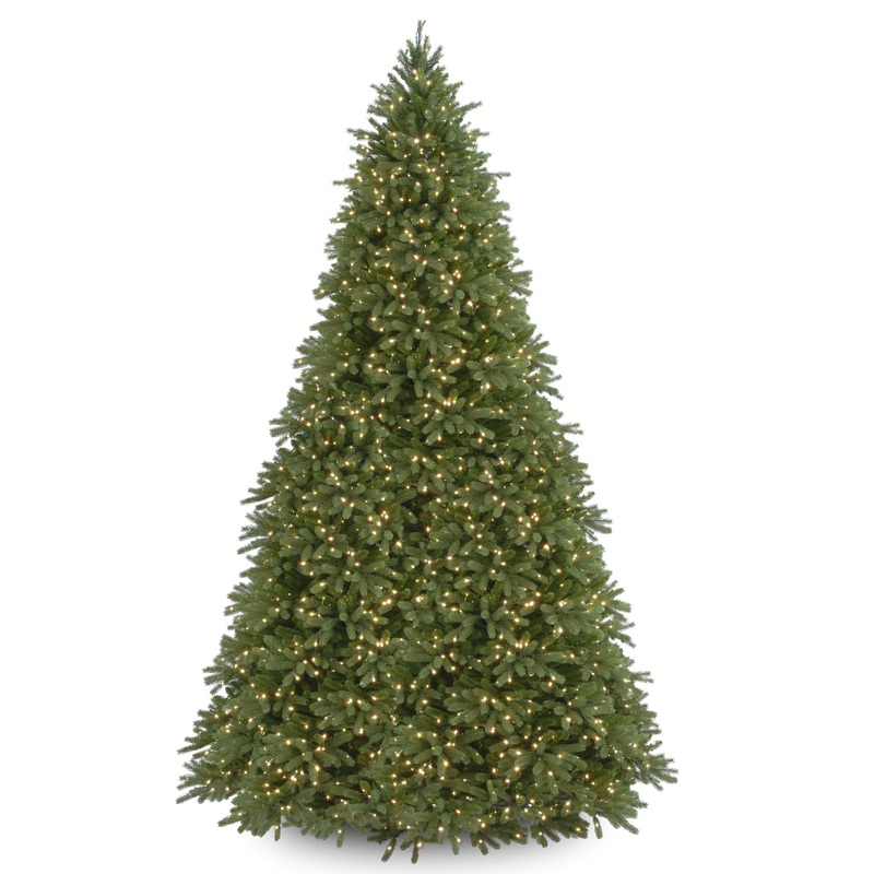 12 ft. Pre-Lit Jersey Fraser Fir Tree with Clear Lights