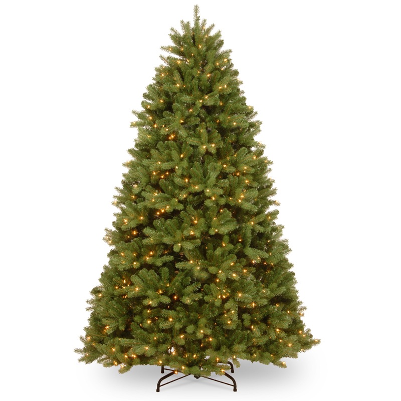 9 ft. Pre-Lit Princeton Fraser Fir Tree with PowerConnect Warm White LED Lights
