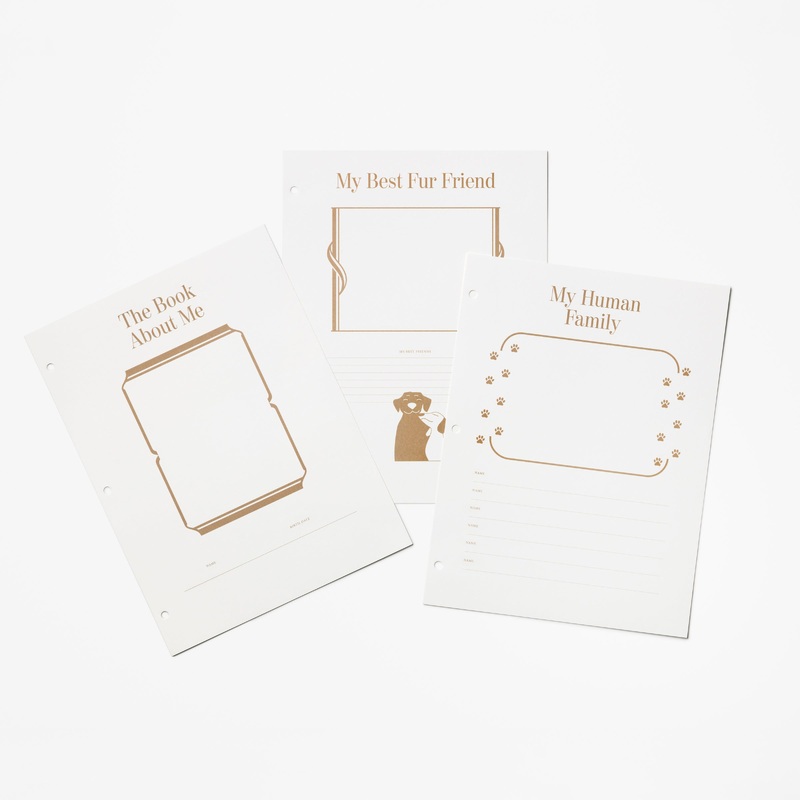 A Dog's Life Photo Album Paper, 10 Pages