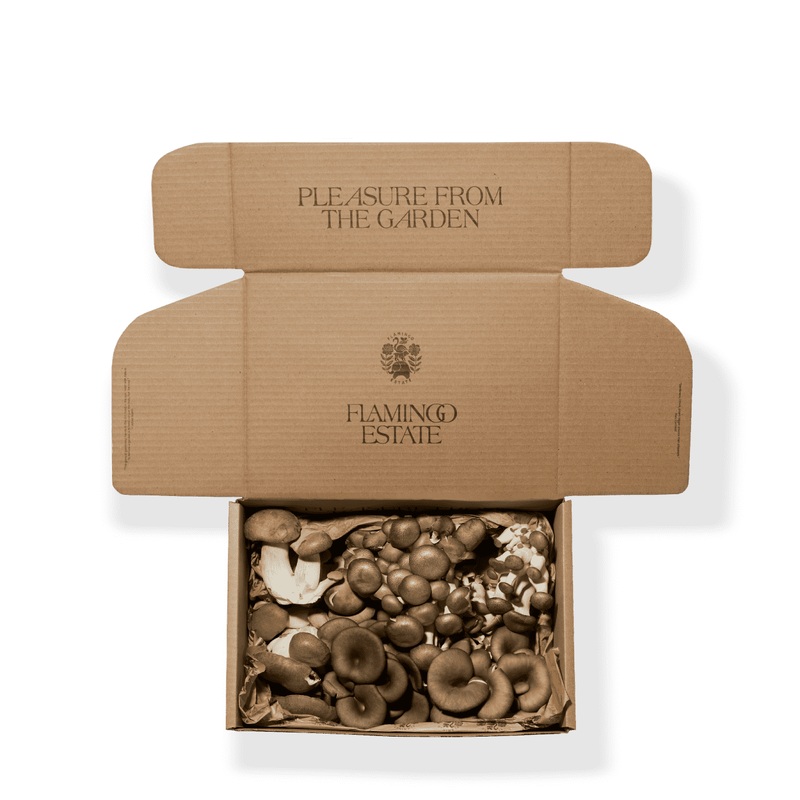 Organic Artisanal Mushroom Box