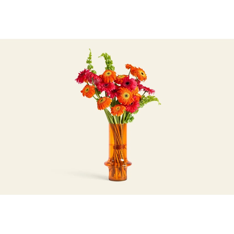 Paprika - Wonderland Botanicals Collaboration