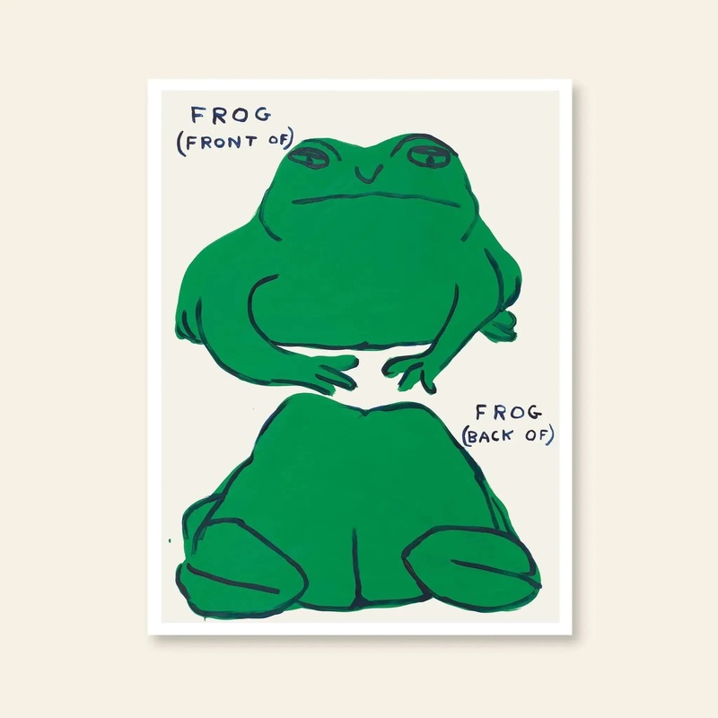 Shrig Shop David Shrigley - Frog (Front Of), Frog (Back Of) (60x80)