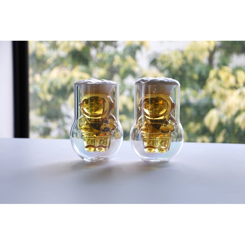 DETAIL NASA Astronaut Double-Walled Glasses, Set of 2 - Clear