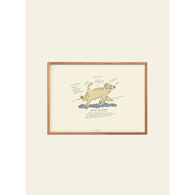 Empty Wall Line Risager Svendsen - Coton De Tular (30x40) - Poster